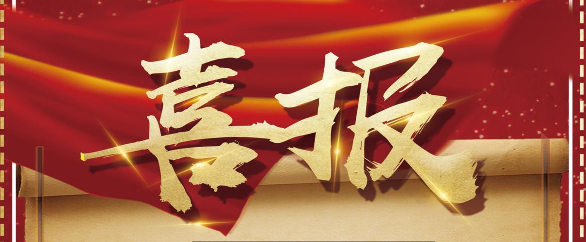 零距离泛目录站群带软件
